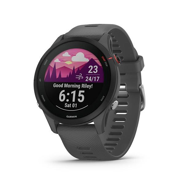 Garmin Forerunner 255 Basic Slate Grey