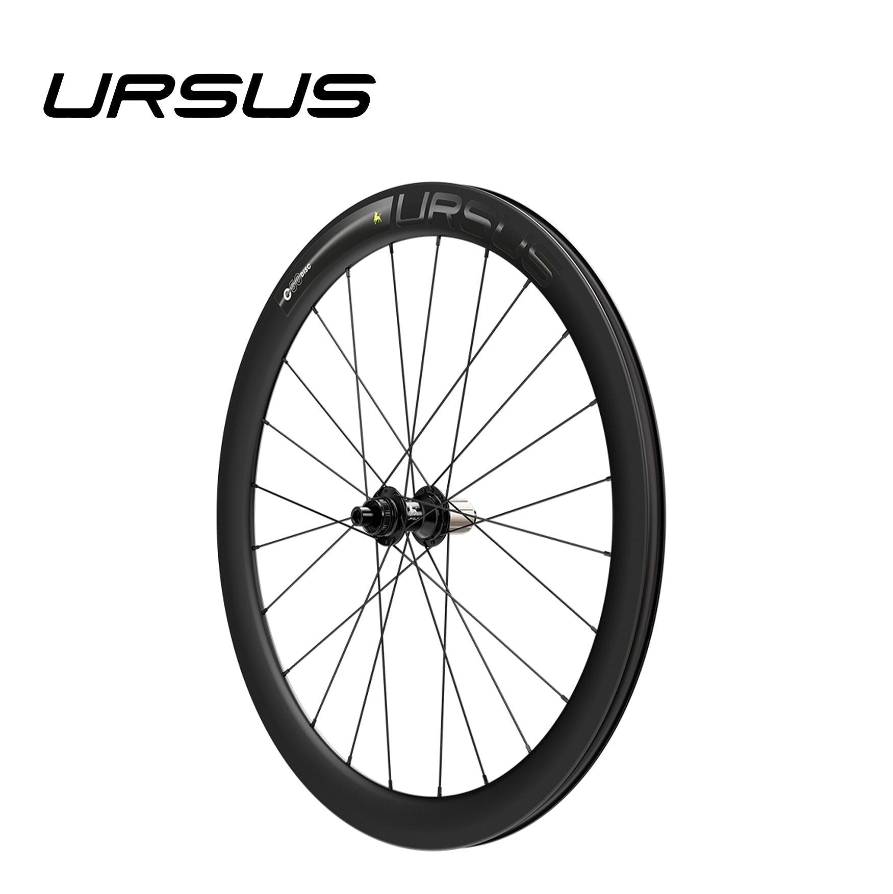 Ursus