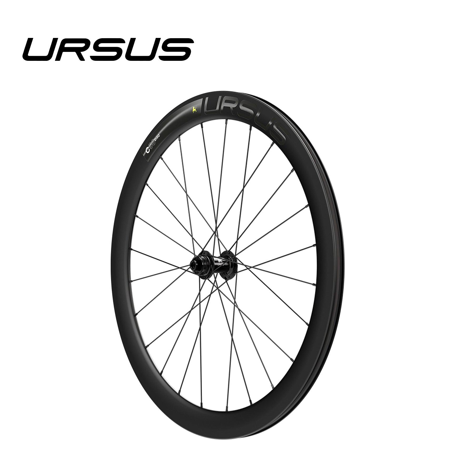 Ursus
