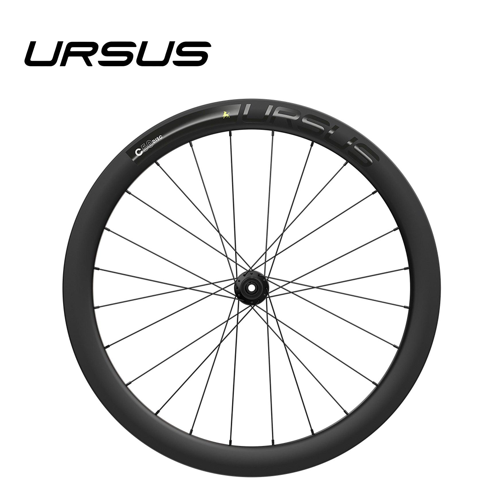 Ursus